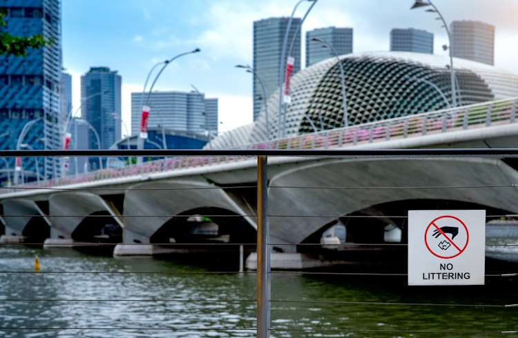 Singapore: public safety and digital surveillance